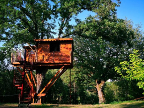Casa sull'albero Bocchineri